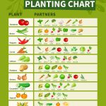 Companion Planting